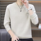 t恤中青年帅气体恤新款 时尚 长袖 潮流春季 秋衣打底上衣 卫衣男士