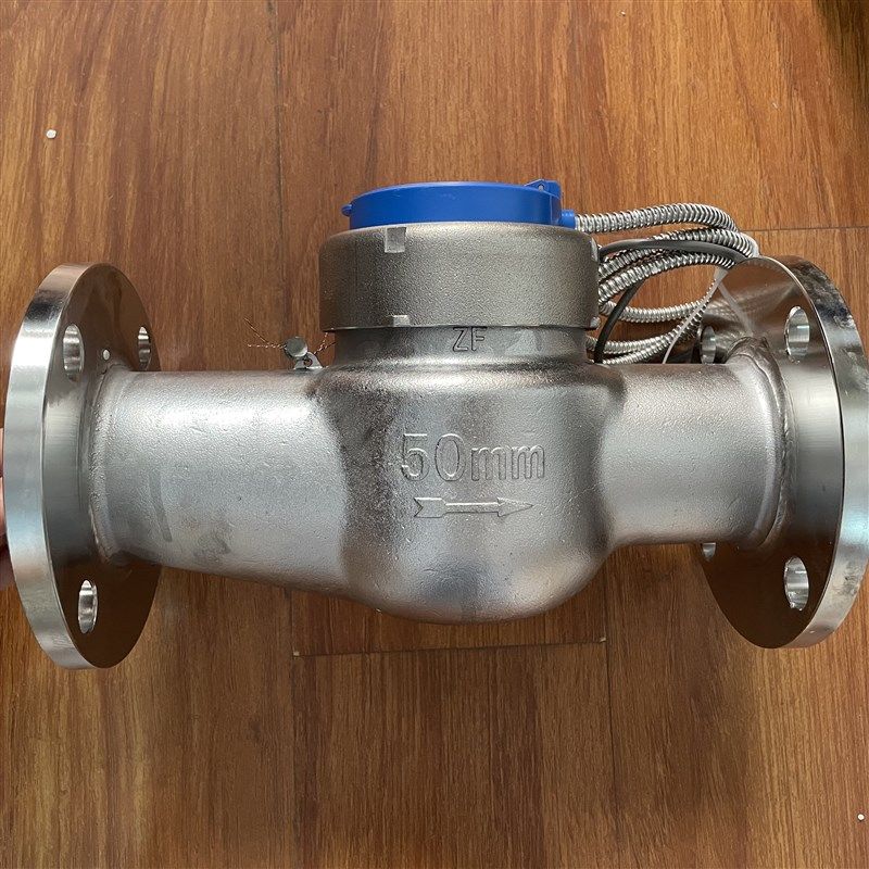 埃美柯光电直读式不锈钢壳远传水表LXSY-E(304)MBUS485工业水表