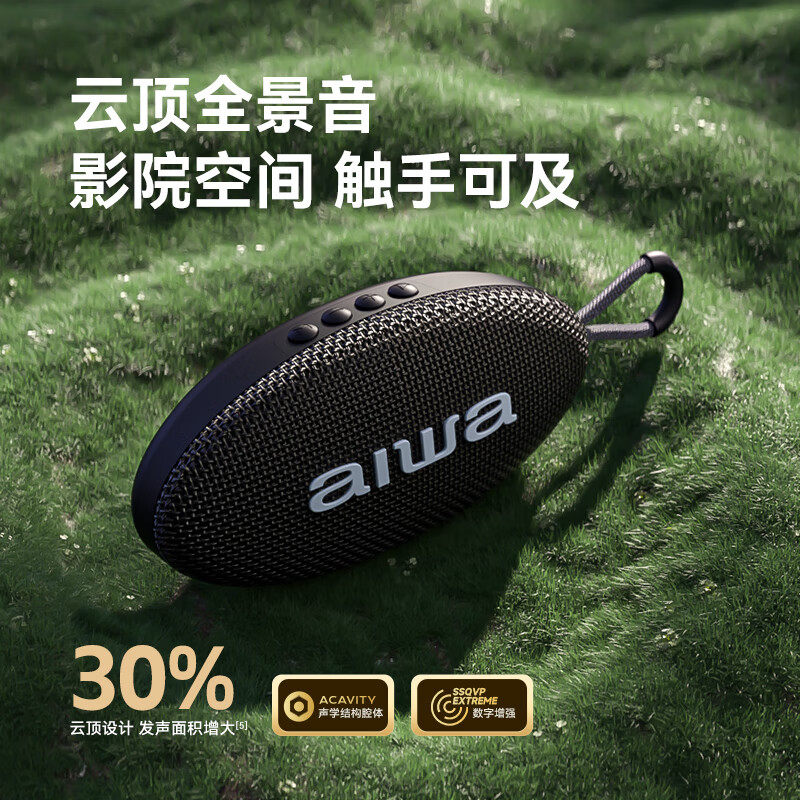 aiwa爱华AH15无线蓝牙音箱便携广场舞小型大音量插卡充电户外音响