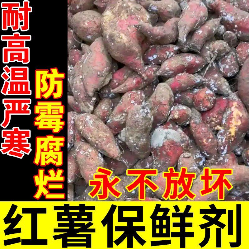 红薯保鲜剂延长储存时间防腐烂发霉黑斑蔬菜水果土豆生姜防坏专用