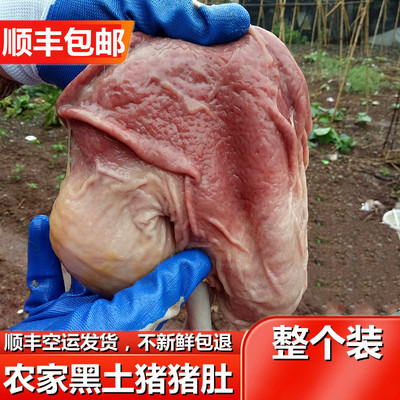 皖南猪肚新鲜冷冻猪下水