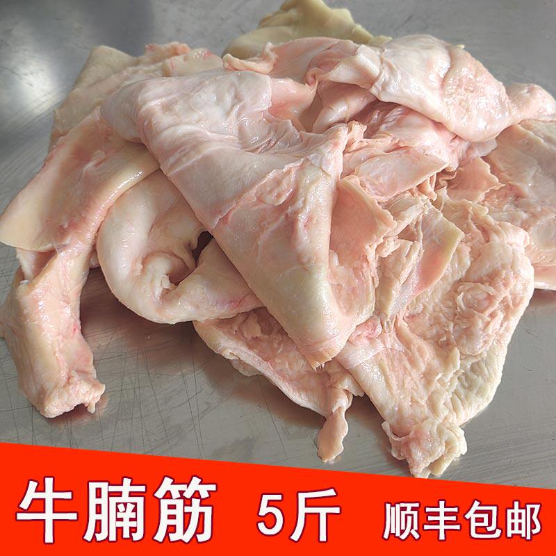 牛腩筋烧烤筋皮子腩筋商用食材五斤生牛筋皮