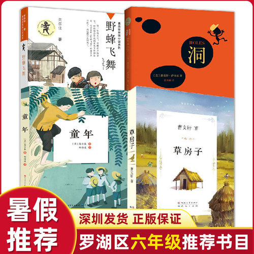 罗湖区六年级上学期暑假推荐