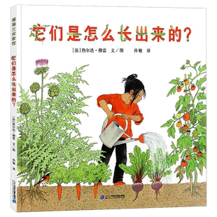 它们是怎么长出来的 硬壳精装绘本 让城市里的孩子亲近自然了解蔬菜生长的奥秘 3-7岁幼儿亲子阅读启蒙故事儿童读物蒲蒲兰童书