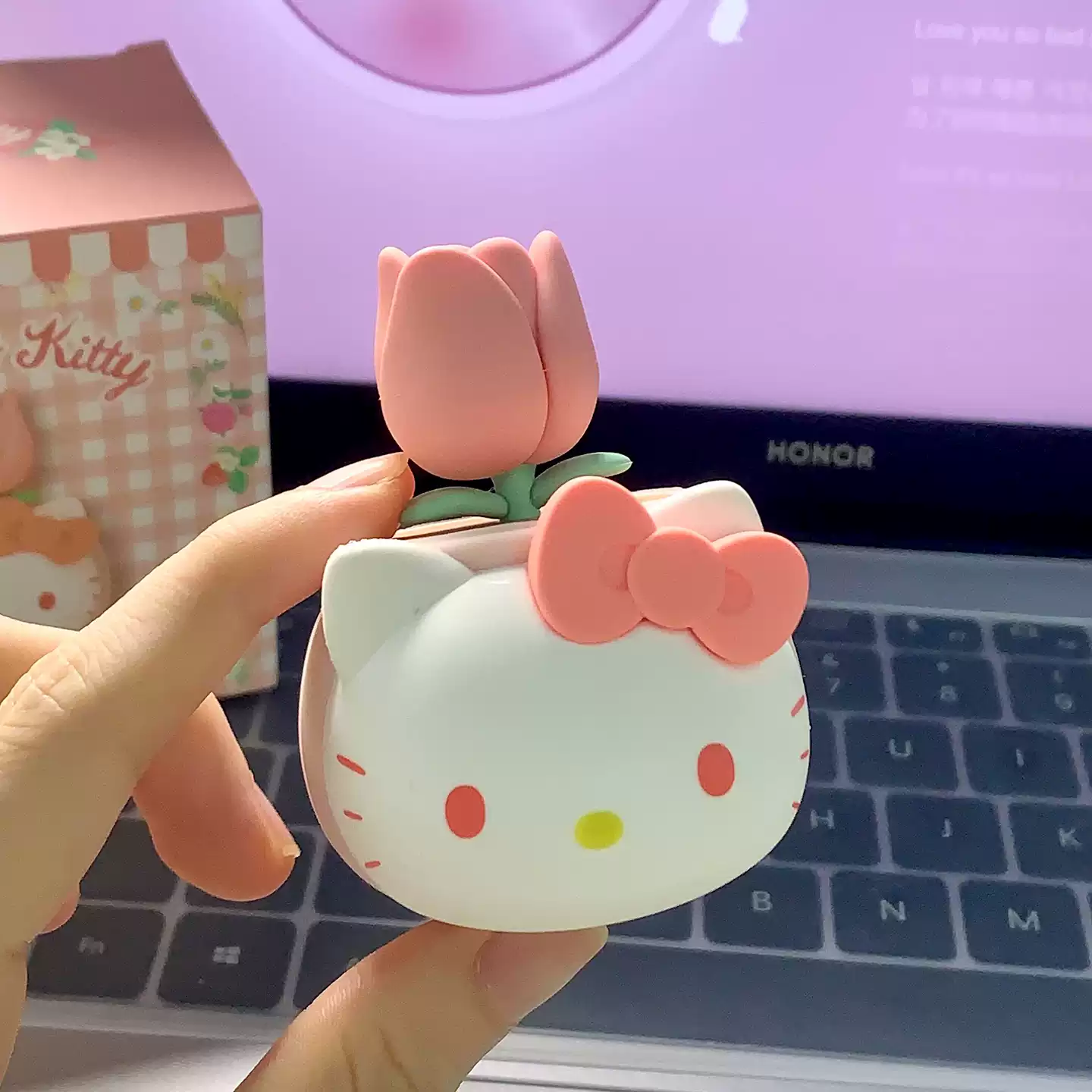 可爱盆栽摆件美乐库洛米桌面装饰