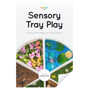 Tray Play瑞吉欧开放性材料感官盆指南材料制作灵感激发儿早教pdf