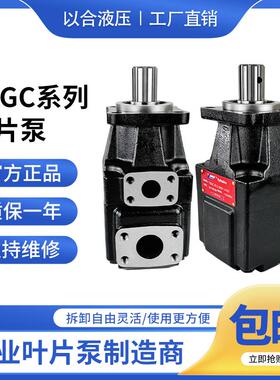液压叶片泵T6GC/T6GCC-B03/05/06/08/10/12/14定量油泵高压双联泵