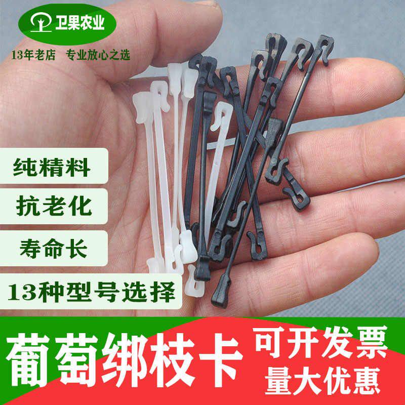 新款猕猴桃葡萄树绑枝卡扣绑蔓葡其它园艺用品