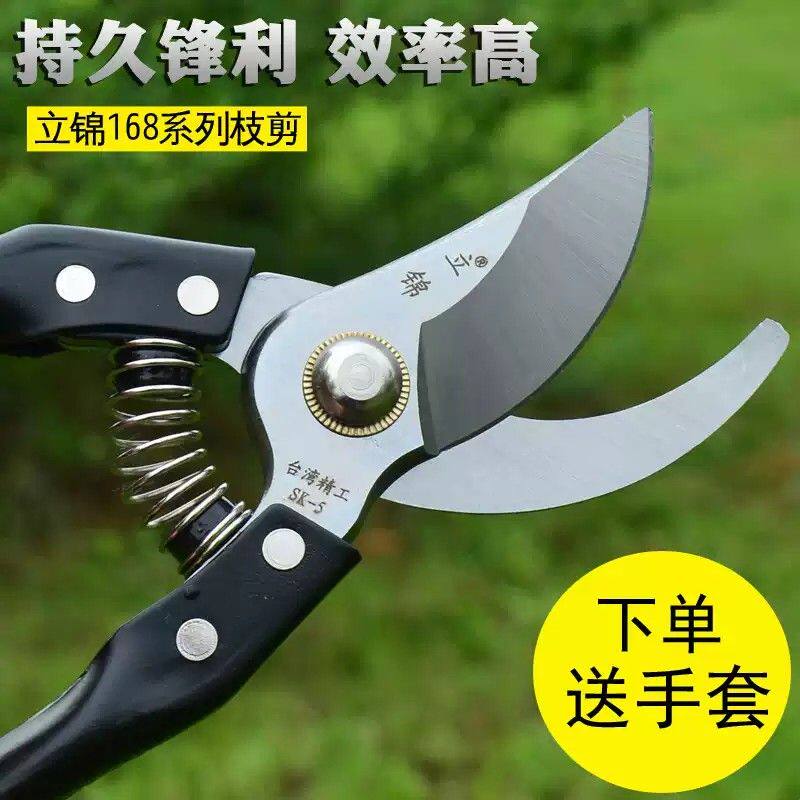 园林果树盆景造型专用工具枝剪芽剪刀 园艺修花剪树技剪刀 修枝剪图片