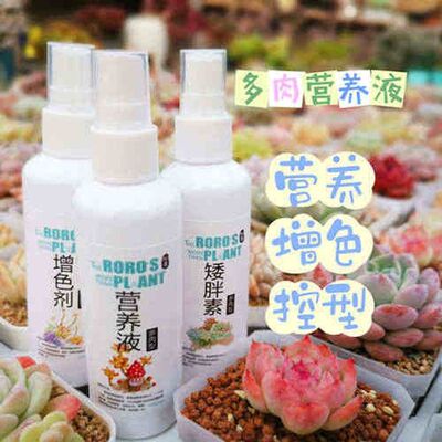 [81弄]多肉植物增色剂上色多肉矮胖素营养液防徒长控型黑腐