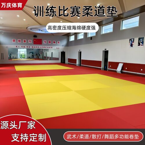 柔道垫专业比赛训练摔跤垫子武术