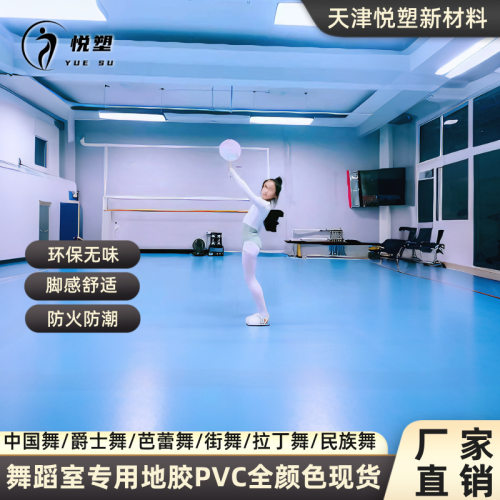 舞蹈地胶垫瑜伽室练功房地板胶