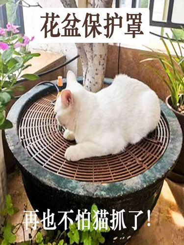 花盆保护罩防猫抓扒盖板花盆