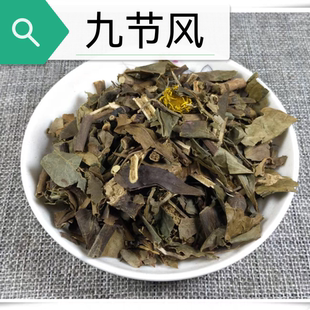 中药材店铺 九节茶 肿节风 草珊瑚 新鲜干货草药材大全金栗兰