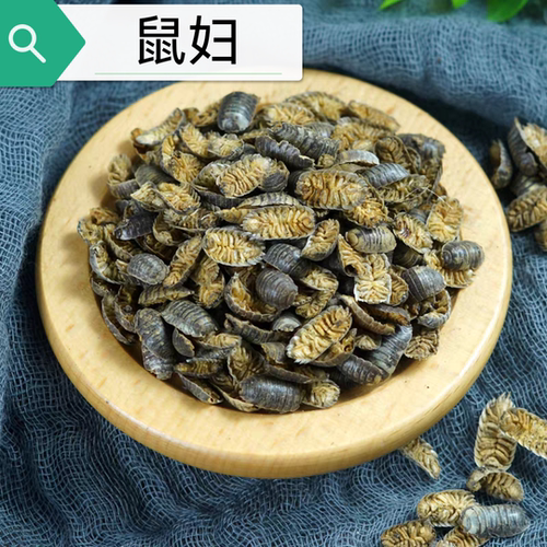 鼠妇虫 鼠妇虫干货潮湿虫潮虫子地虱婆新货散称