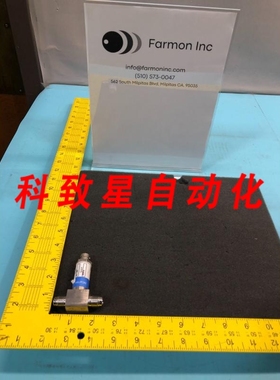 工业配件NTT205 VALVE 250 PSI 173124