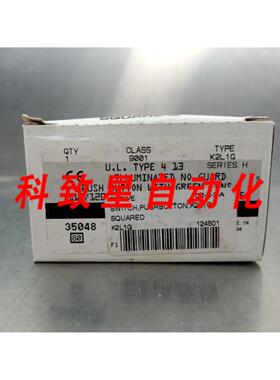 工业配件9001 K2L1G系列H按钮带绿色镜片 4B-24