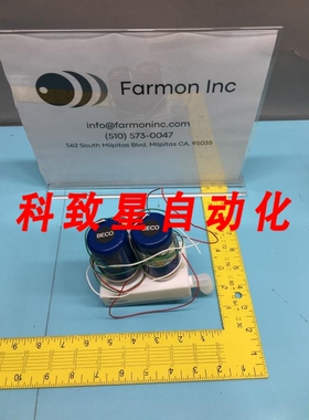 工业配件BECO MAN-103307 DUAL VALVE W/PTFE 233392385 131069