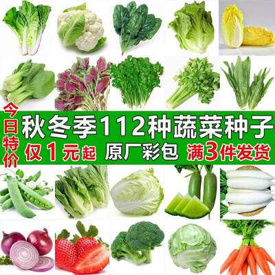 Vegetable seeds are suitable for autumn sowing, including v