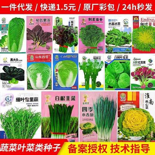Four season vegetable seeds, high germination rate of Chine