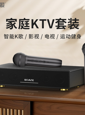索爱SDV8蓝牙音箱K歌音响家庭影院一体机多功能声卡带麦克风家用