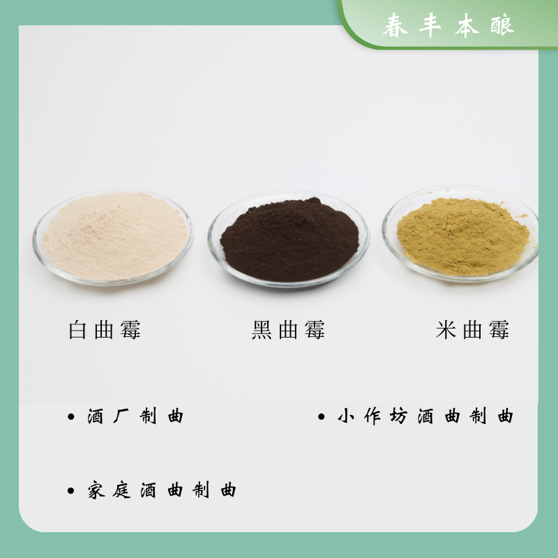 黑曲米曲河内白曲制曲菌种
