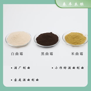 米曲曲霉 白曲霉 黑曲霉UV11 制霉麸用曲菌种 固态发酵麸曲菌种