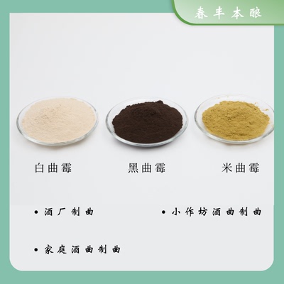 黑曲米曲河内白曲制曲菌种