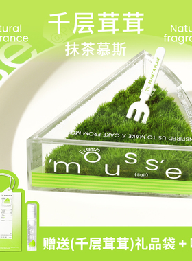 【生日礼物】pap千层茸茸苔藓蛋糕桌面盆栽解压绿植私人草坪