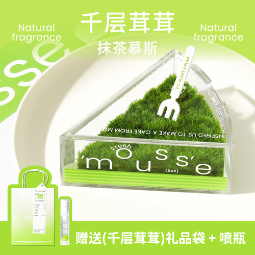 PAP千层茸茸苔藓蛋糕盆栽礼盒