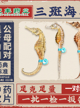 三斑海马干货中药材泡酒滋补品温肾助阳煲汤一公一母配对大海马