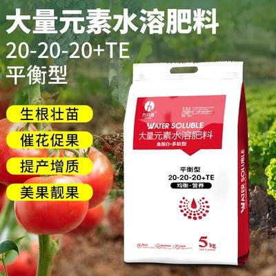 大量元素20-20-20+TE水溶肥料平衡肥快速全水溶果树瓜果通用肥料