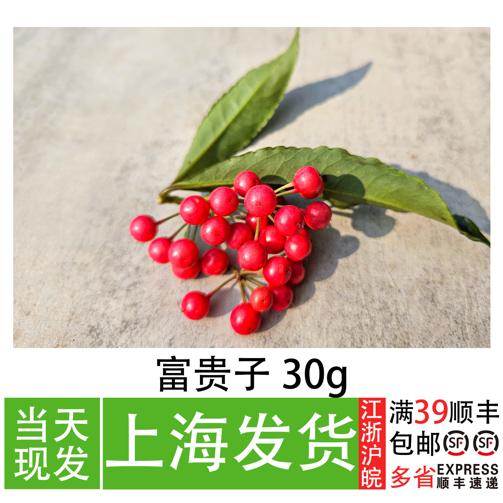 新鲜富贵子30g 餐厅冷盘摆盘装饰点缀创意海鲜姿造造型搭配红果