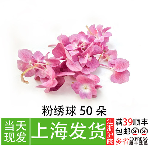 粉绣球花 新鲜花卉 摆盘花草 西餐酒店私房菜创意菜品搭配装饰