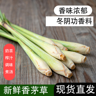 新鲜香茅草柠檬草冬荫功汤调味香料可食用泰国料理调味料