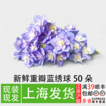 重瓣绣球花50朵 餐厅冷盘菜品摆盘装饰花草不可食用点缀小花