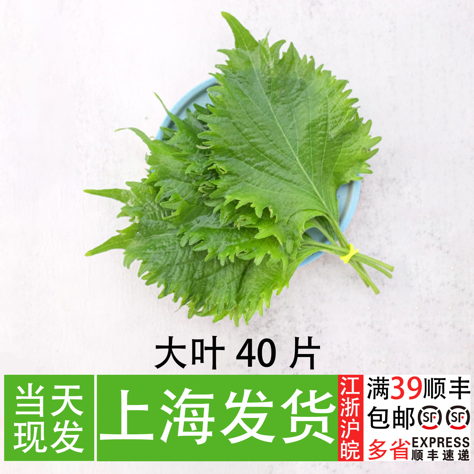 新鲜紫苏叶大叶可食用 日料刺身烤肉三文鱼装饰 酒店西餐摆盘花草,水产肉类/新鲜蔬果/熟食,其它,淘宝优惠券,粉丝福利购,淘宝优惠卷