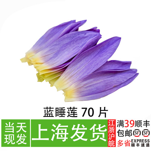 蓝睡莲餐厅创意摆盘装饰