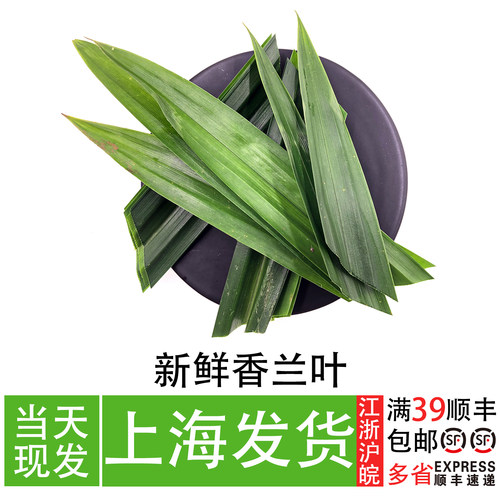 香兰叶新鲜食用斑斓叶摆盘装饰