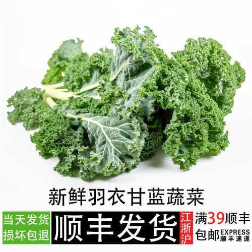 减脂健身榨汁食用蔬菜羽衣甘蓝