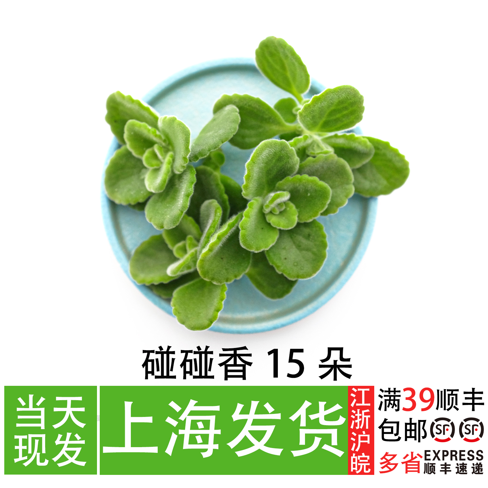 碰碰香餐厅摆盘装饰可食用