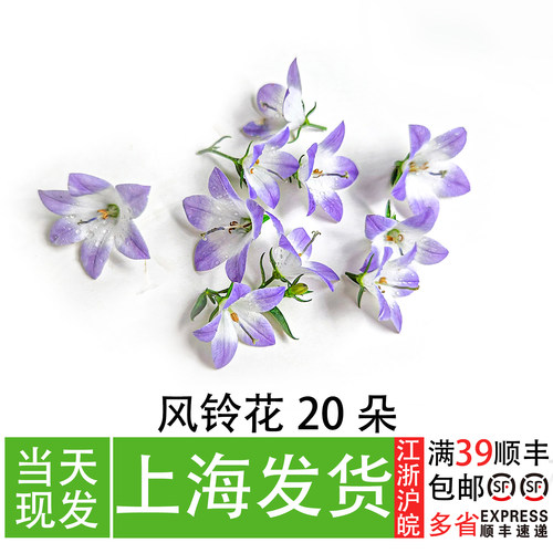新鲜梦幻风铃花20朵蛋糕装饰花草西餐厅甜品意境点缀花创意搭配