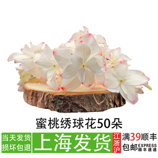 新鲜蜜桃绣球花酒店餐厅菜品刺身摆盘装饰蛋糕甜品点缀搭配花草