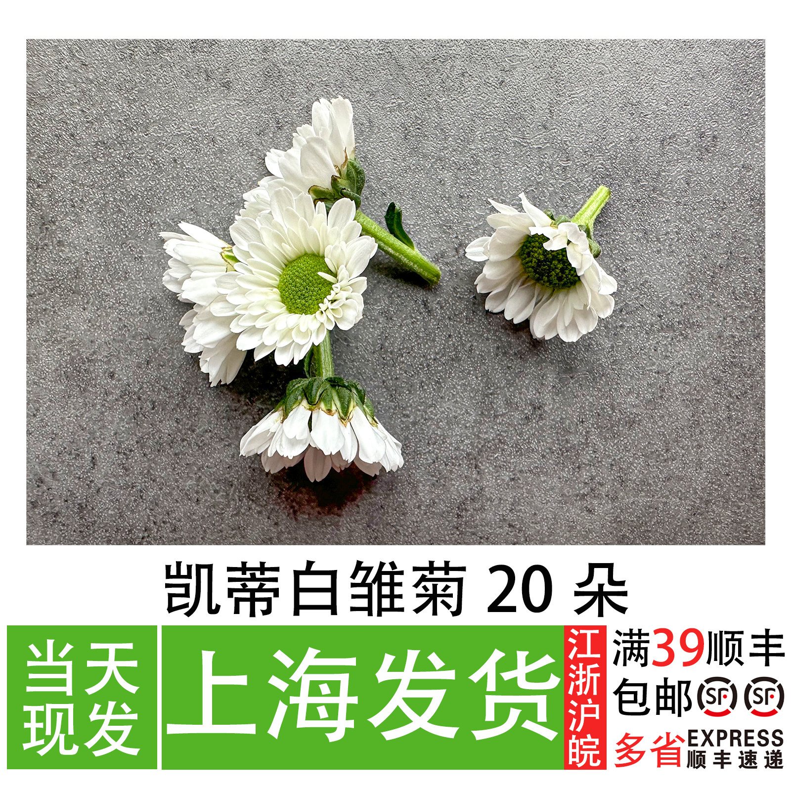 多色小雏菊 刺身三文鱼摆盘造景装饰餐厅冷盘创意点缀,鲜花速递/花卉仿真/绿植园艺,时令草本花卉,淘宝优惠券,粉丝福利购,淘宝优惠卷