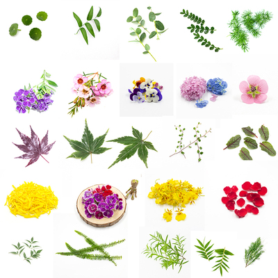 新鲜摆盘装饰花草 餐厅日料刺身冷盘海鲜姿造寿司造型点缀植物