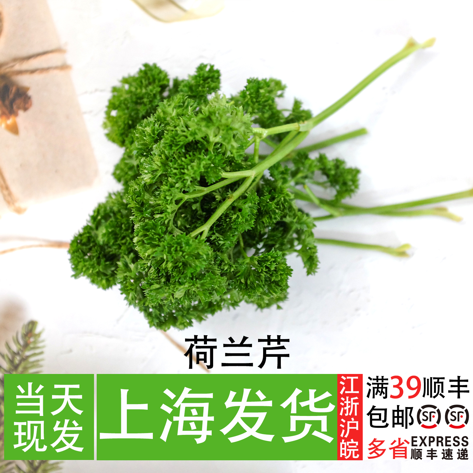 荷兰芹 法香 火锅生鲜配菜装饰草 西餐牛排私房菜海鲜冷菜摆盘草