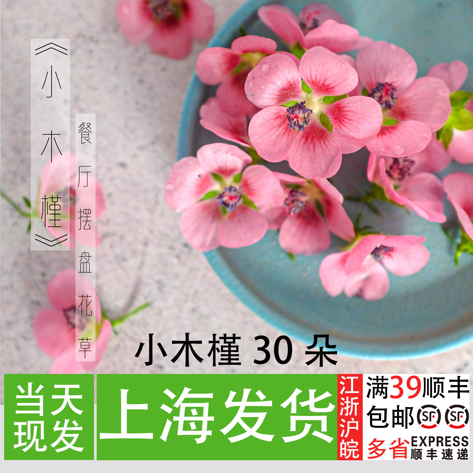 新鲜小木槿花 餐厅冷菜摆盘花草 烘焙蛋糕装饰花 冷盘创意点缀花