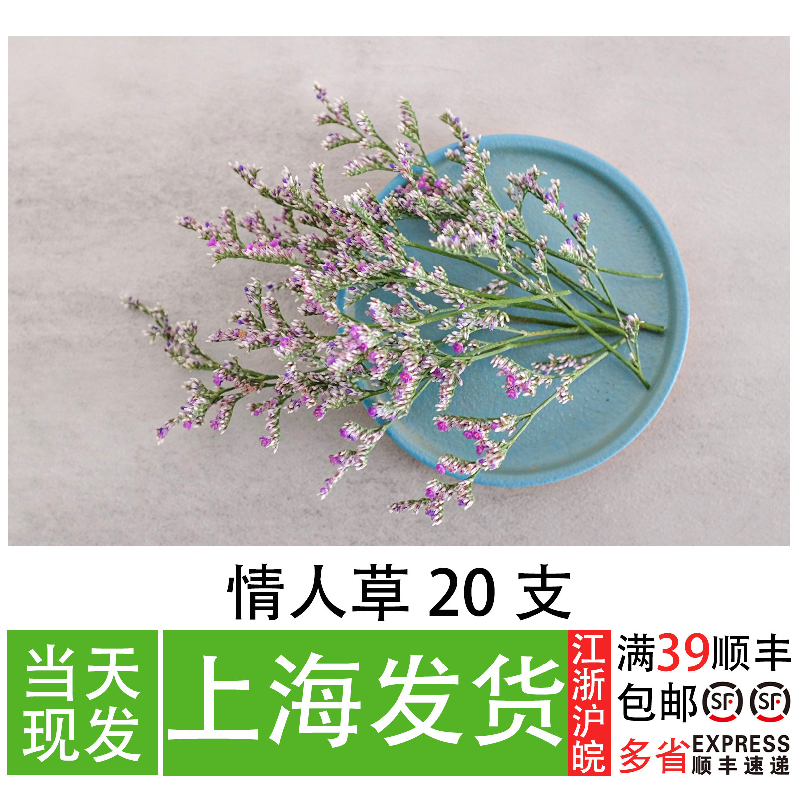 情人草 新鲜花草 西餐日料会所装饰摆盘 酒店私房菜创意点缀草