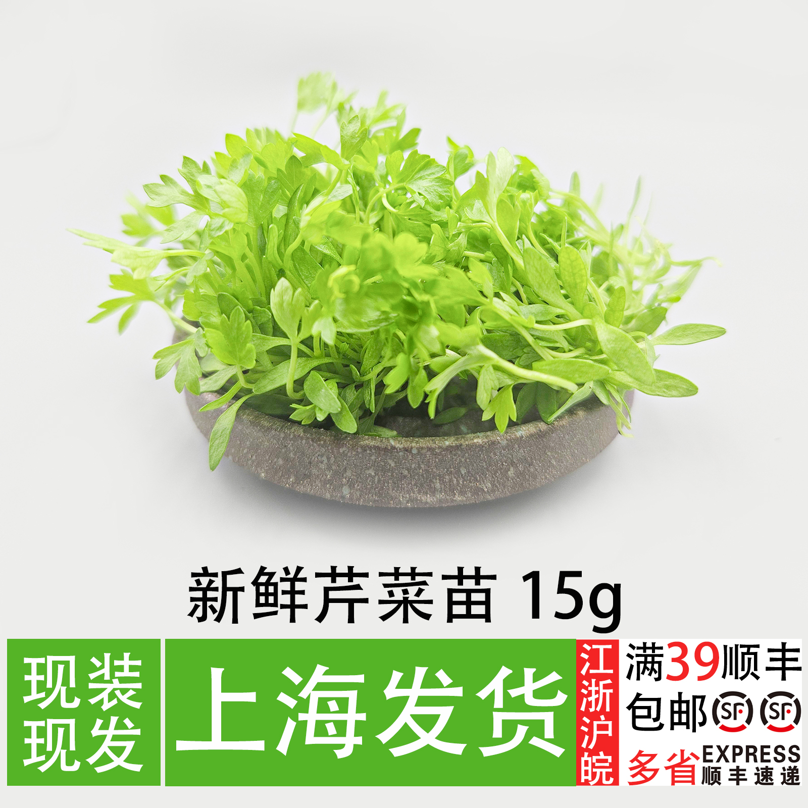新鲜芹菜苗三叶芹香芹苗15g 餐饮西餐冷菜摆盘装饰可食用芽苗菜