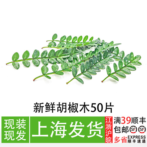 清香木叶子蛋糕装饰叶子
